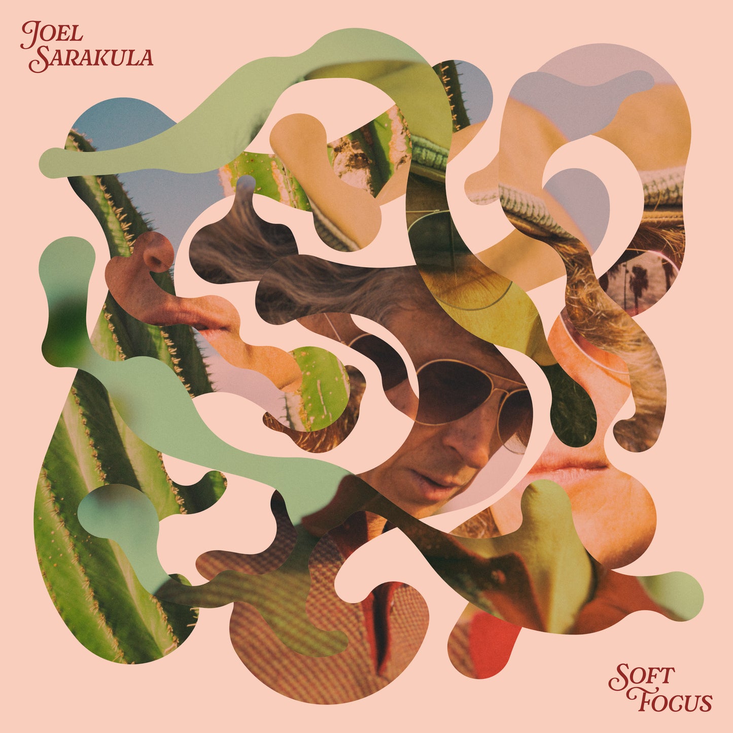 Joel Sarakula - Soft Focus - LP