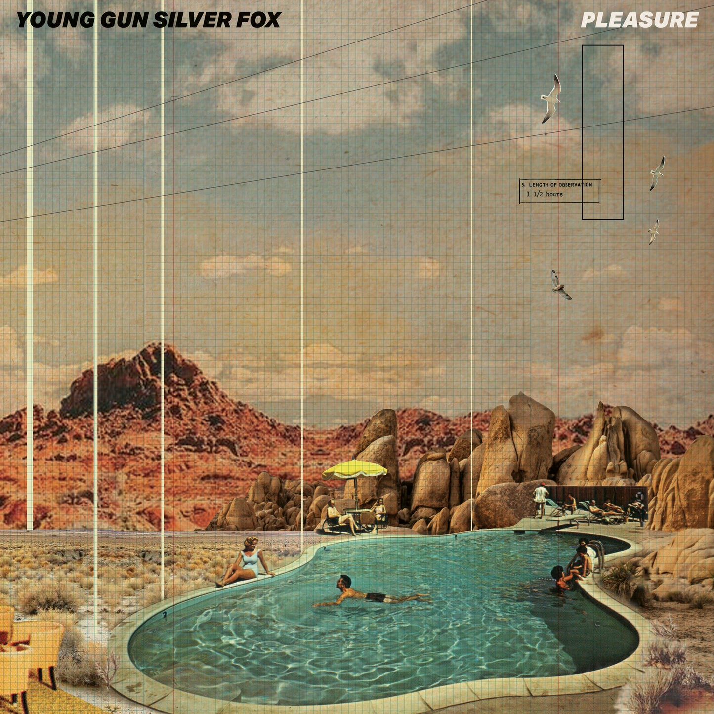Young Gun Silver Fox - Pleasure - CD