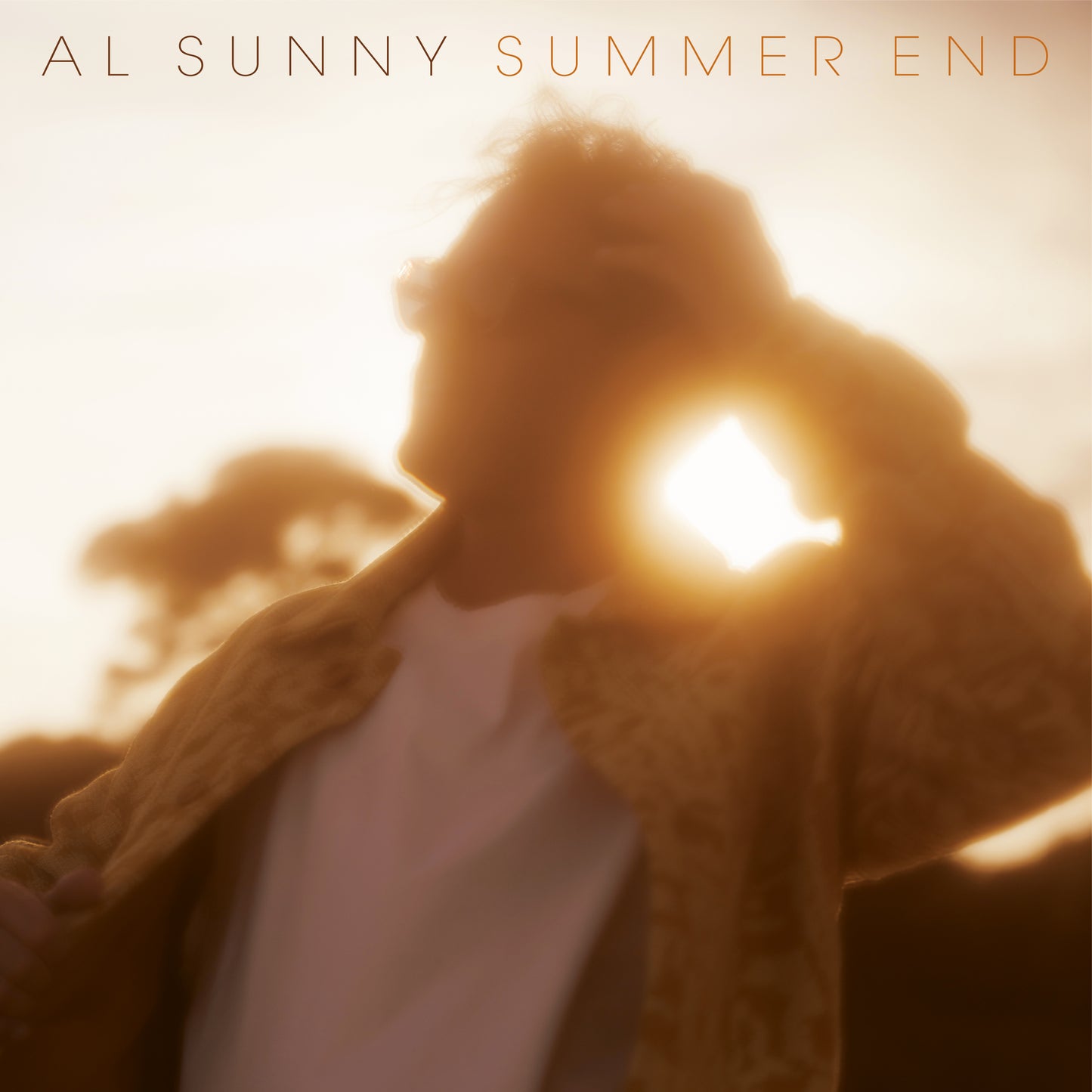 Al Sunny - Summer End - LP